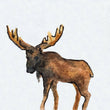 Load image into Gallery viewer, Magnet - 1" Moose Watercolor Print