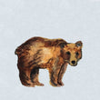 Load image into Gallery viewer, Magnet - 1" Bear Watercolor Print