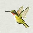 Load image into Gallery viewer, 1" Hummingbird Watercolor Print