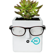 Load image into Gallery viewer, Plant & Glasses holder