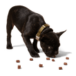 Load image into Gallery viewer, Love Nuggets