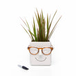 Load image into Gallery viewer, Plant & Glasses holder