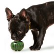 Load image into Gallery viewer, The Pupsicle