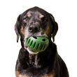 Load image into Gallery viewer, The Pupsicle