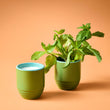 Load image into Gallery viewer, Candle/Planter 2-in-1