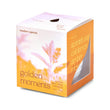 Load image into Gallery viewer, Candle/Planter 2-in-1