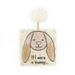Load image into Gallery viewer, Jelltcat If I Were A Bunny Book