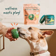 Load image into Gallery viewer, Woof dog treats