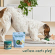 Load image into Gallery viewer, Woof dog treats
