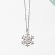 Load image into Gallery viewer, New Necklaces
