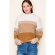 Load image into Gallery viewer, Ribbed Turtle Neck