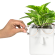 Load image into Gallery viewer, Plant & Glasses holder
