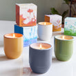 Load image into Gallery viewer, Candle/Planter 2-in-1