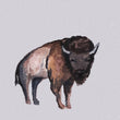 Load image into Gallery viewer, Magnet - 1" Bison Buffalo Watercolor Art