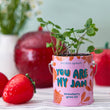 Load image into Gallery viewer, Compliment Grow Kits