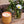 Load image into Gallery viewer, Candle/Planter 2-in-1
