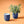 Load image into Gallery viewer, Candle/Planter 2-in-1
