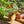 Load image into Gallery viewer, Candle/Planter 2-in-1
