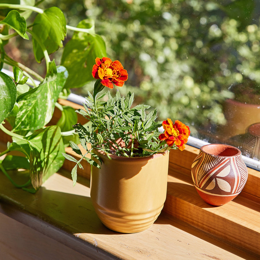Candle/Planter 2-in-1