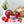 Load image into Gallery viewer, Compliment Grow Kits
