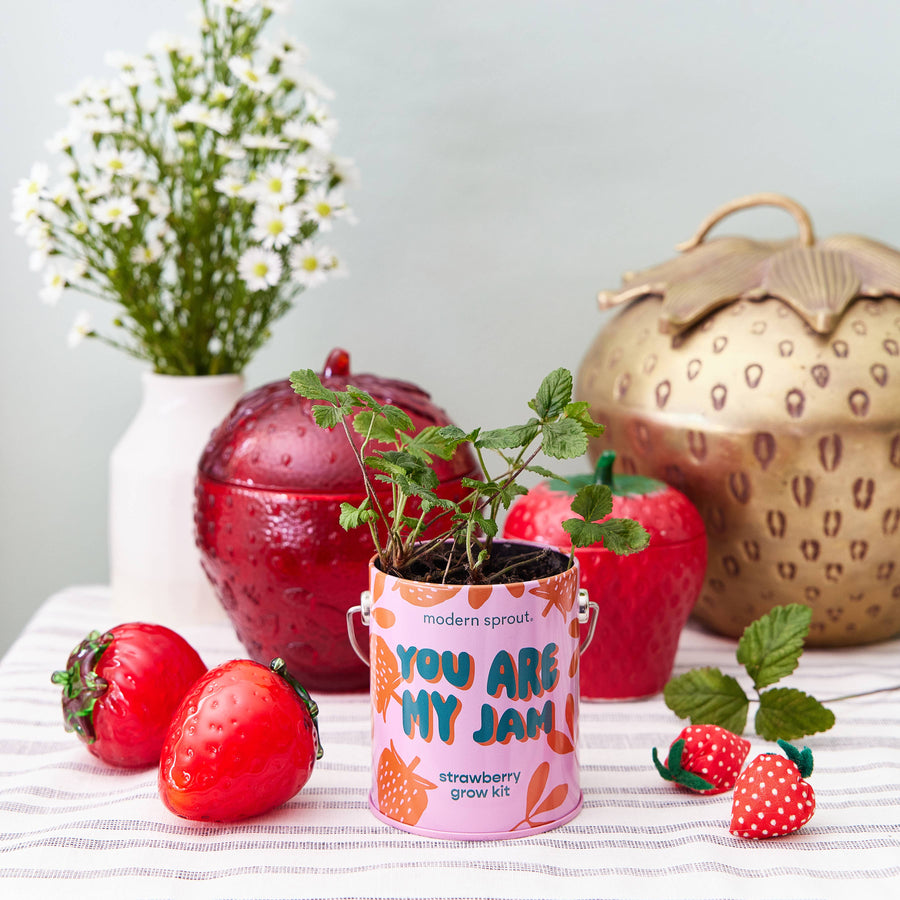 Compliment Grow Kits