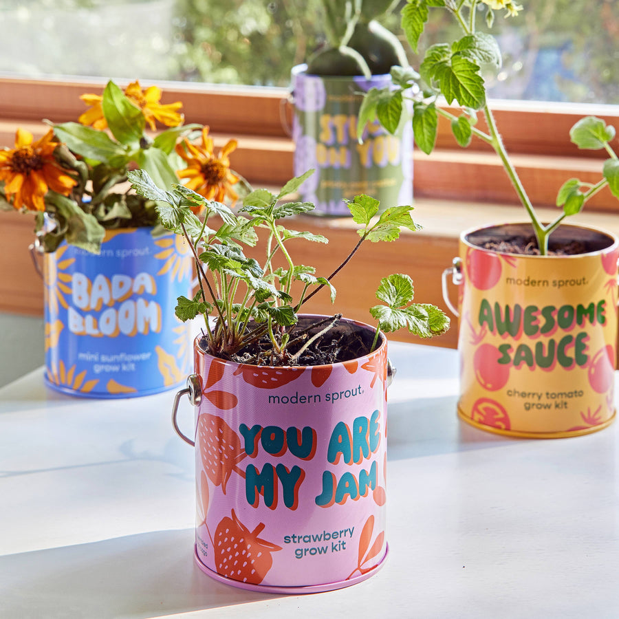 Compliment Grow Kits