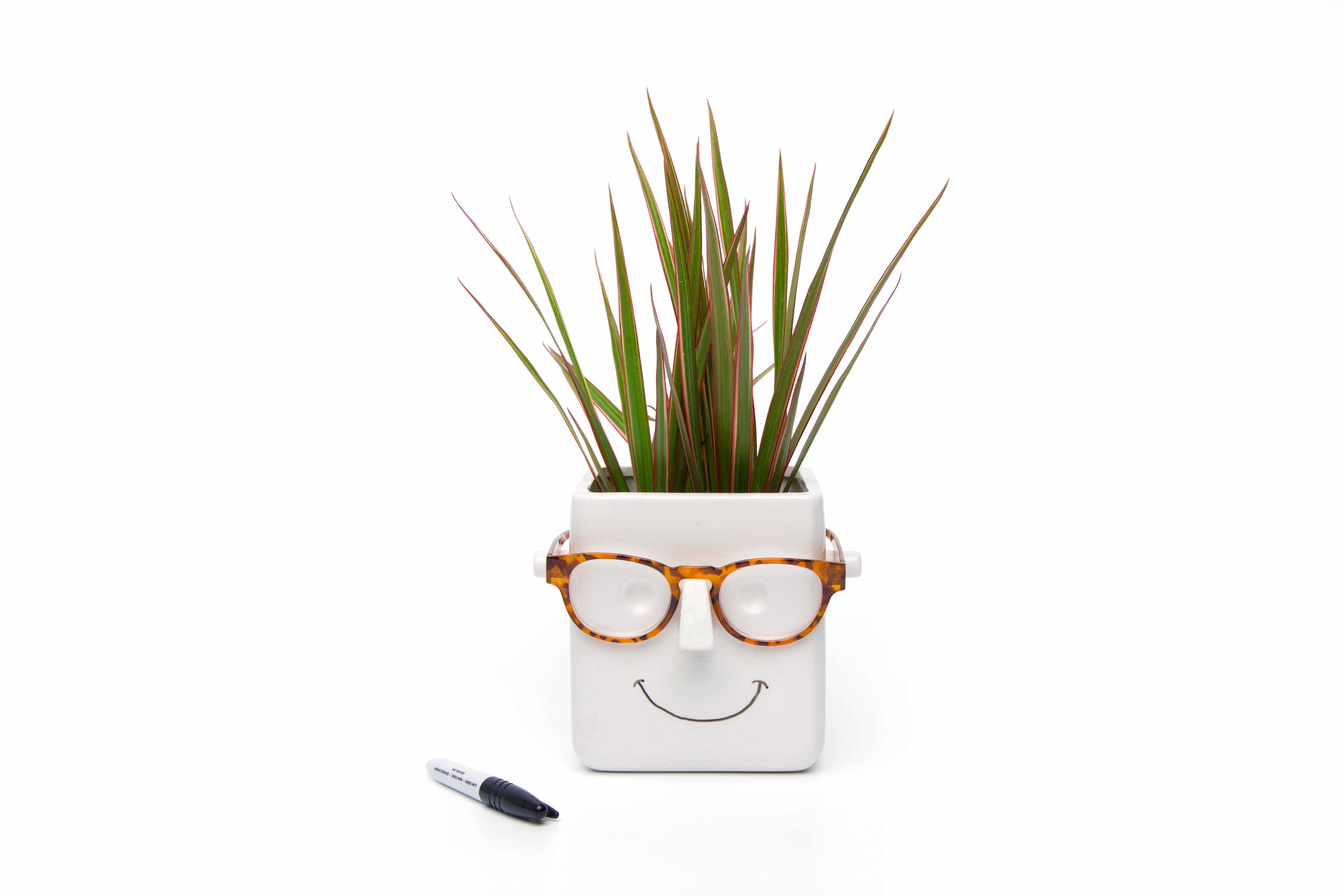 plant pot face with glasses Plant & Glasses holder – Fine and Funky