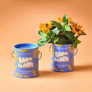 Compliment Grow Kits