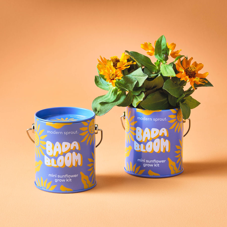 Compliment Grow Kits