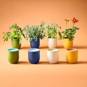 Candle/Planter 2-in-1