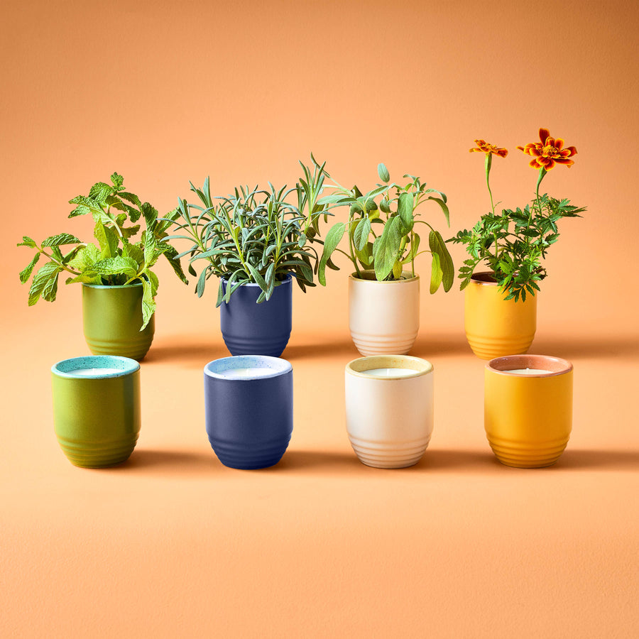 Candle/Planter 2-in-1