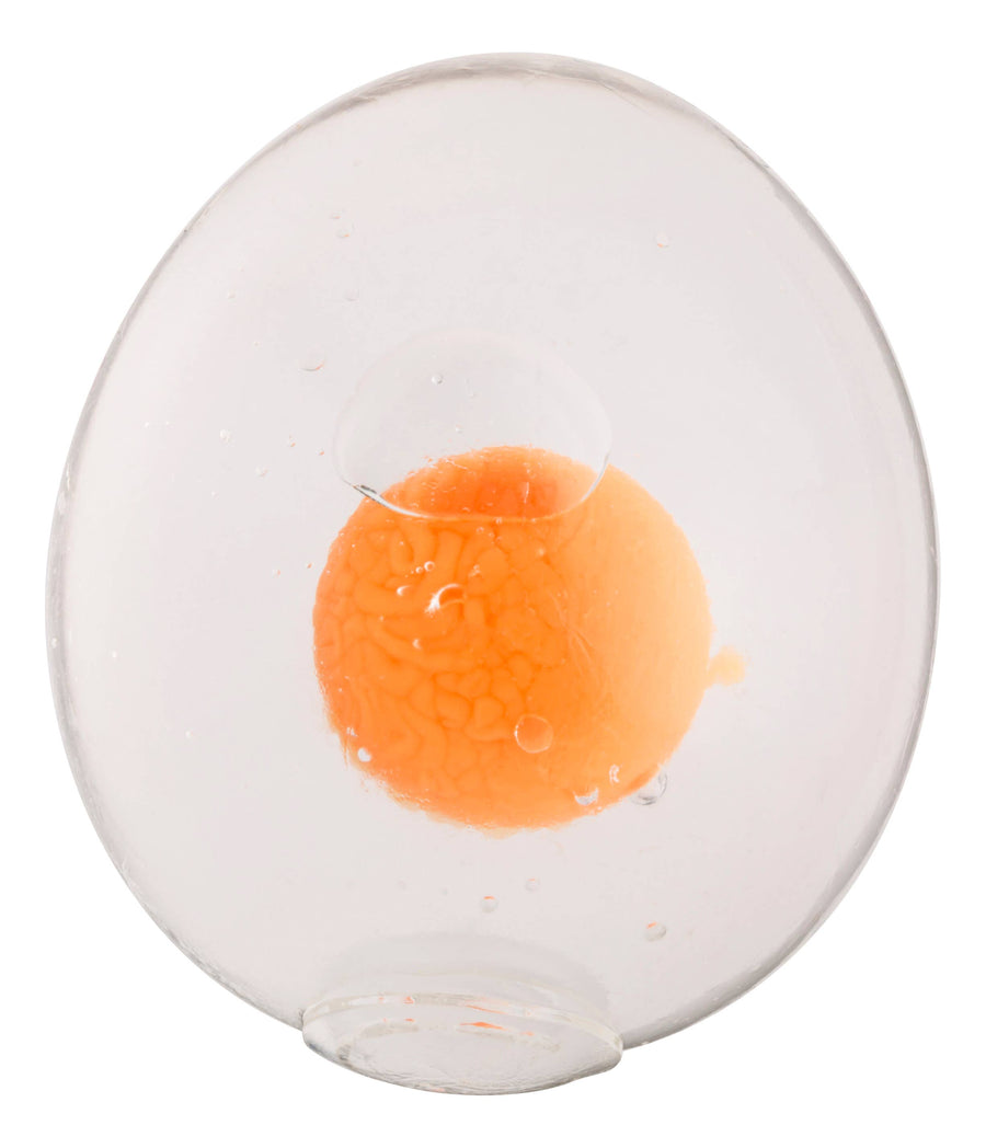 Farm Fresh Egg Game