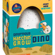 Load image into Gallery viewer, Toysmith - Hatchin' Dino
