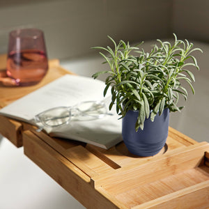 Candle/Planter 2-in-1