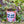 Load image into Gallery viewer, Compliment Grow Kits
