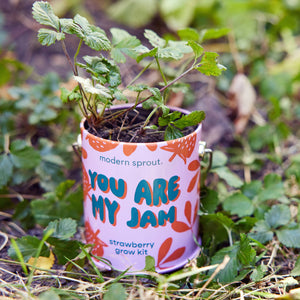 Compliment Grow Kits