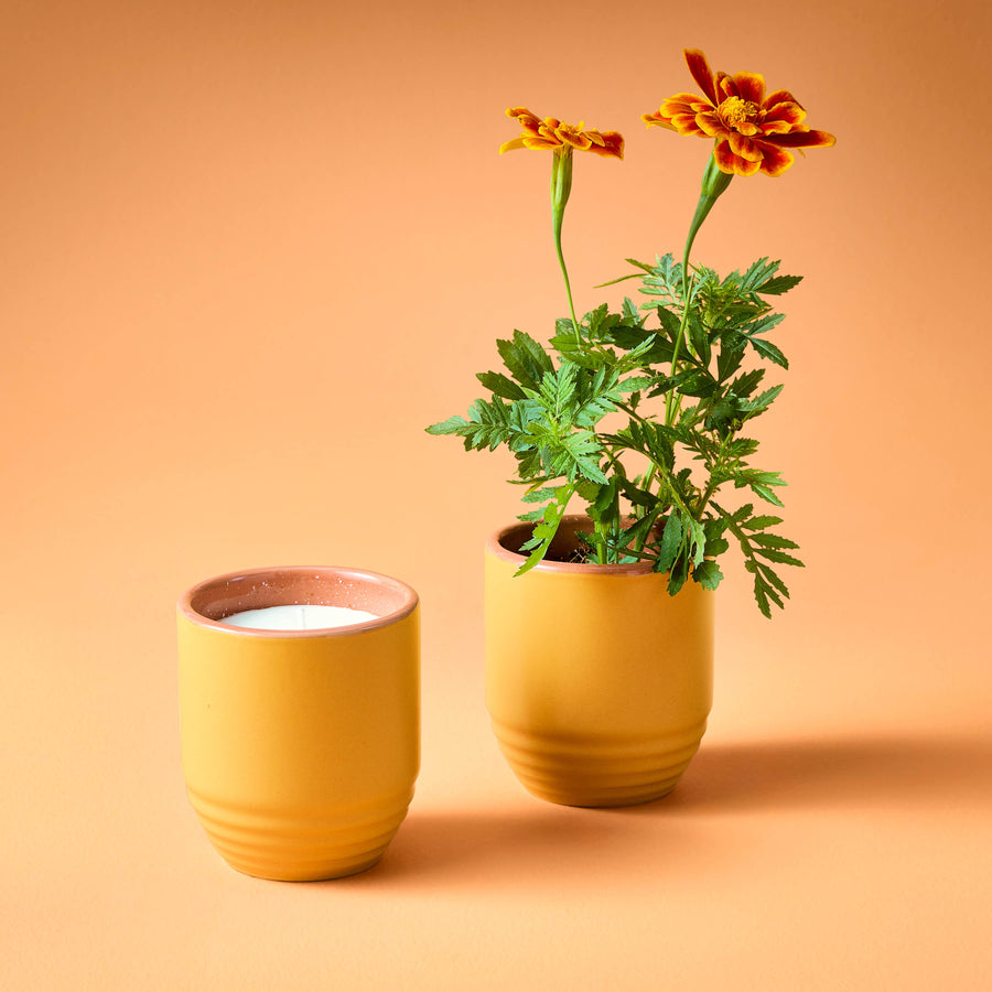 Candle/Planter 2-in-1
