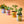 Load image into Gallery viewer, Compliment Grow Kits
