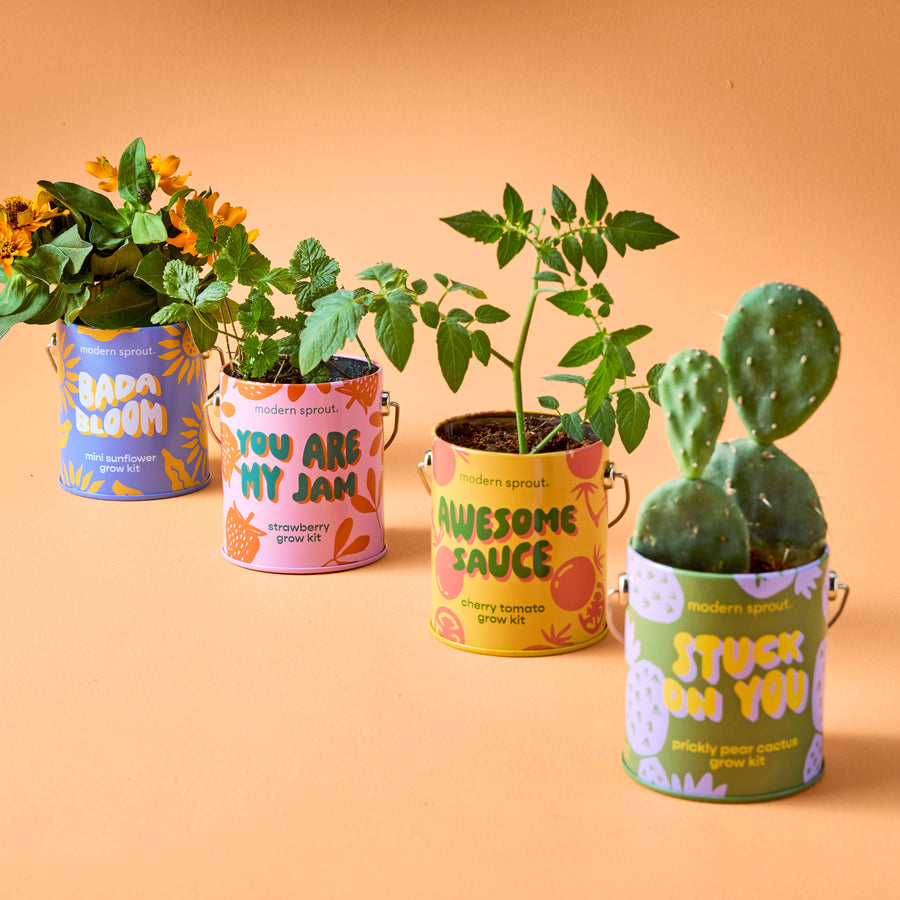 Compliment Grow Kits