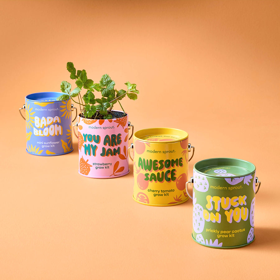 Compliment Grow Kits