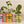 Load image into Gallery viewer, Compliment Grow Kits

