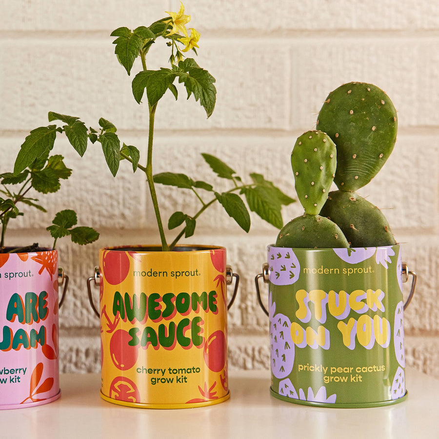 Compliment Grow Kits