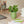 Load image into Gallery viewer, Candle/Planter 2-in-1
