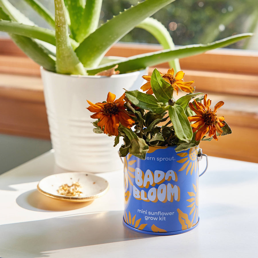 Compliment Grow Kits