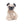 Load image into Gallery viewer, Bashful Pug Jellycat
