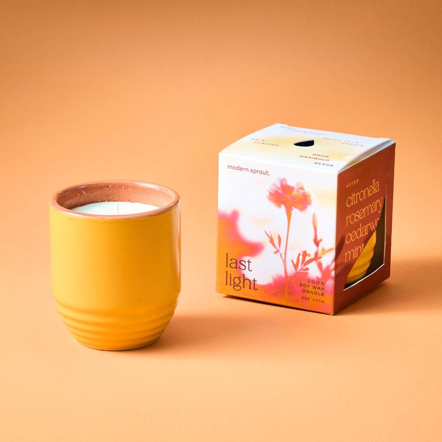 Candle/Planter 2-in-1