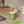 Load image into Gallery viewer, Candle/Planter 2-in-1
