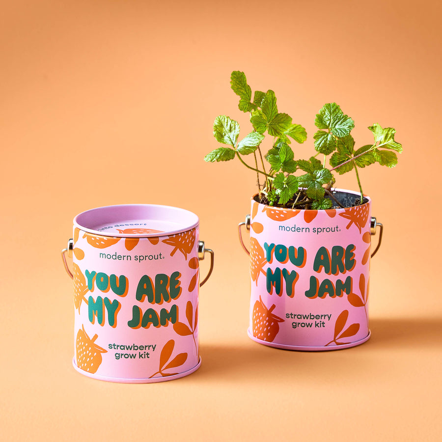 Compliment Grow Kits