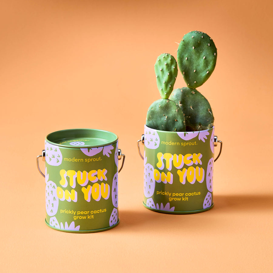 Compliment Grow Kits