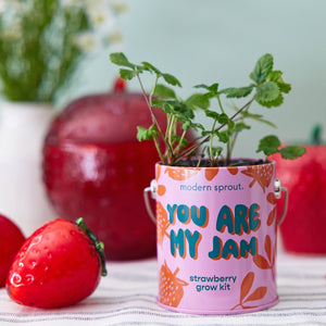 Compliment Grow Kits